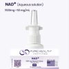 NAD⁺ (Nicotinamide Adenine Dinucleotide)